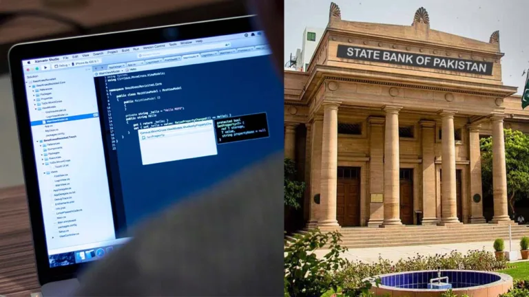 SBP Retains 50% of Freelancer Foreign Currency Accounts