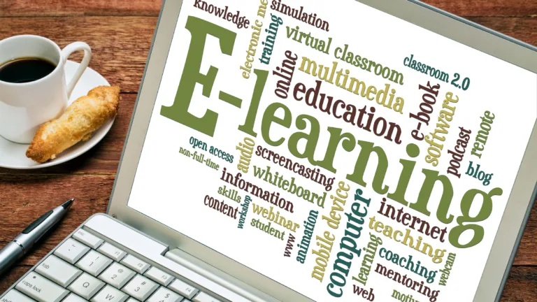 Transforming Education: The Landscape of Online Learning in Pakistan